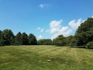 large grass field with trees and blue sky