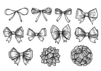 Bow, ribbon illustration, drawing, engraving, ink, line art, vector