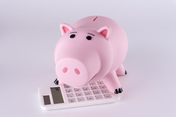 Piggy Bank and Calculator