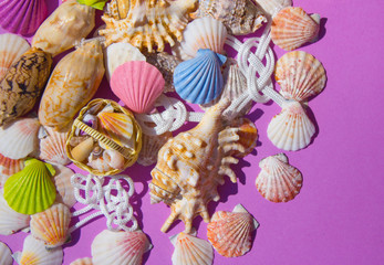 Composition of exotic sea shells, boat, lighthouse, nautical knots, gulls on a purple background. The view from the top. Place for your text.