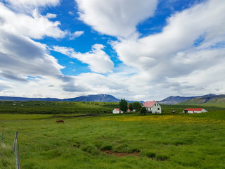 Obraz premium Farm with a horse in the field under sky