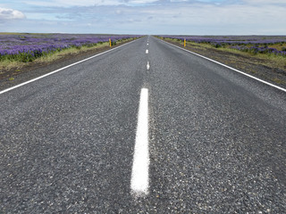 Stripped white line in middle of road