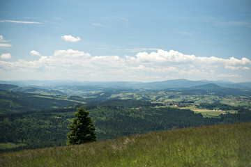 landscape Mountain View