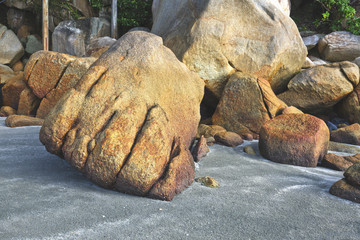 A rock found at the beach which looks like human foot. 