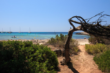 Fototapeta premium caletta nell' isola di Minorca (Baleari)