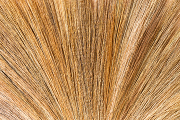 Grass broom texture background.