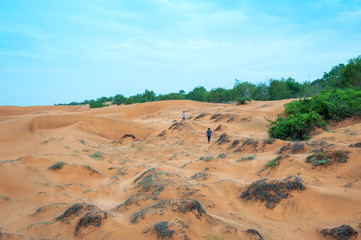Fototapeta na wymiar Some rocky on the sand dunes - a popular places to travel in Vietnam.