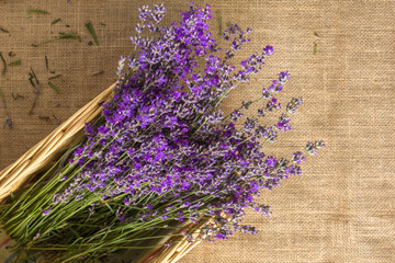 Obraz premium Bouquet of lavagna in the basket