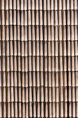 Beautiful texture. Marine concept. Vertical. Close-up.