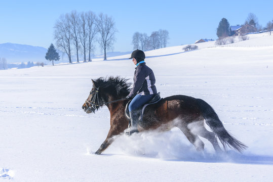 Ross und Reiterin beim austoben im frischen Schnee