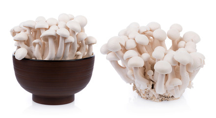 white shimeji mushrooms isolated on white background