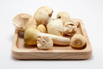 Mushrooms in a wooden tray