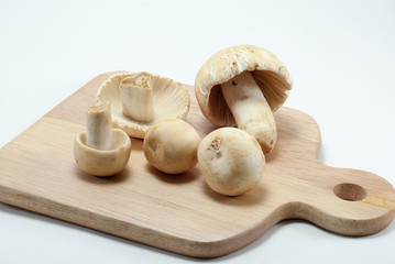 Mushrooms in a wooden tray