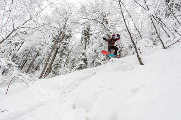 Fototapeta na wymiar snowboarding in the forest. Powder snowboarding in Japan, powder ride, rider in the forest, powder day. Snowboarder. Snowboard. snowboarding.