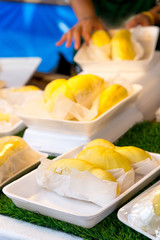 fresh durian (king of fruit) with white package on display fruit shop at street market, bangkok, thailand
