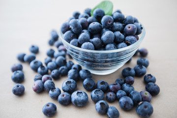  freshly blueberry fruit antioxidant food