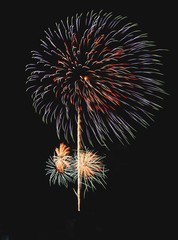 firework celebration over sky