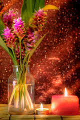 Fototapeta na wymiar Pink flower of Pink Siam Tulip or Curcuma sessilis flower in vase and burning candle light with light Pink bokeh background. Concept of peace, meditation, hope and relaxation