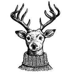 Ink drawing of reindeer in knit sweater © Elena