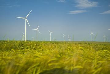 Eolian generators in a beautiful wheat field. eolian turbine farm,wind turbine, wind field with wind turbines. Wind propeller. Wheat Fiel Agriculture.  © Epic Vision