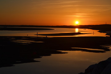 Naklejka premium Phare de la Coubre La palmyre
