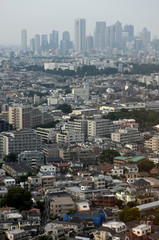 Fototapeta na wymiar 日本の東京都市風景（新宿の高層ビル群などを望む）