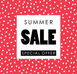 'Summer sale' vector illustration on watermelon seeds background