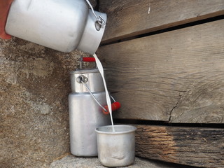 leche fresca recién ordeñada, lecheras en la lecheria