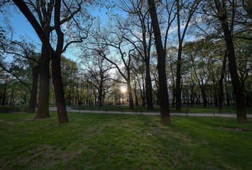 View from Saint Isaac's Cathedral through branches and with blue sky Saint Petersburg, Russia