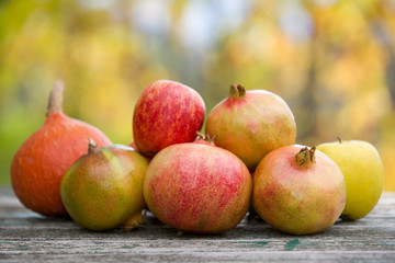 autumn fruits