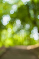 Blurry nature wallpaper. Forest bokeh background. Vertical defocused backdop.
