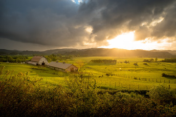 Fototapeta premium Farm and farmland in Southern Oregon, Coquille River Valley, Myrtle Point 