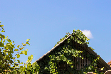 A rural wooden house