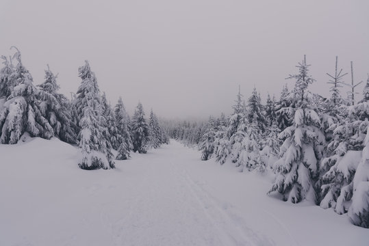 Harzer Hexenstieg im Winter