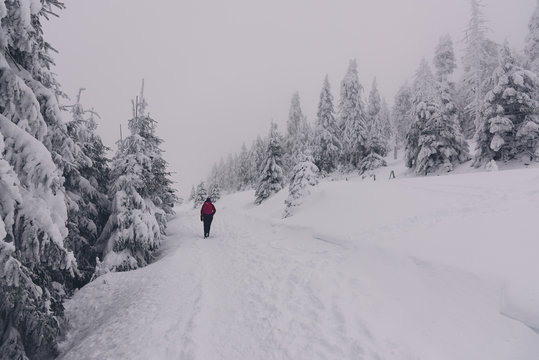 Rear view of a man walking through Harzer Hexenstieg footpath in winter