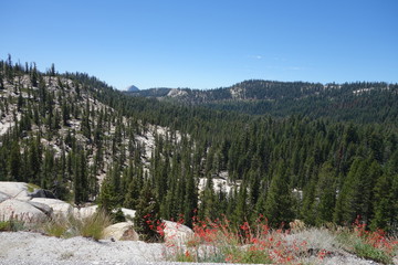 Yosemite, USA 