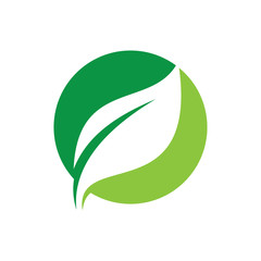 Circle leaf eco nature logo vector image