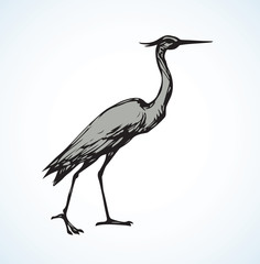 Obraz premium Stork. Vector drawing