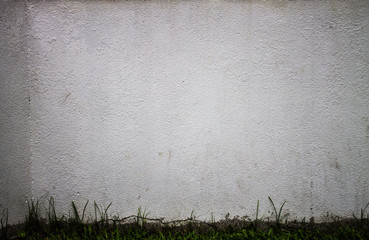 Old white walls with grass and ornamental plants.