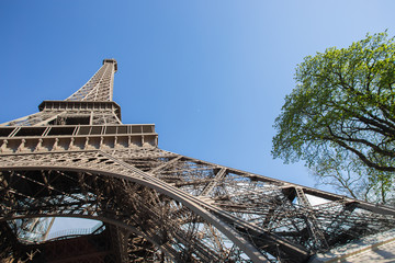 Eiffel Tower in Paris.
