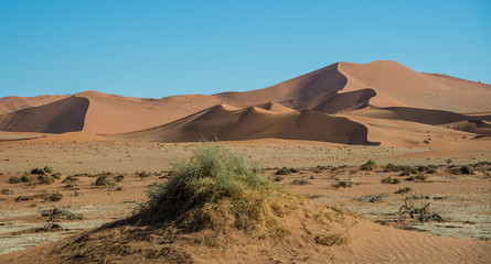Fototapeta na wymiar Drought near Big Daddy dune