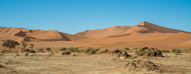 Fototapeta na wymiar Drought near Big Daddy dune