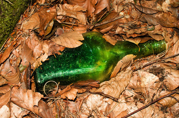 Bottle on dry leaves Pollution of the forest