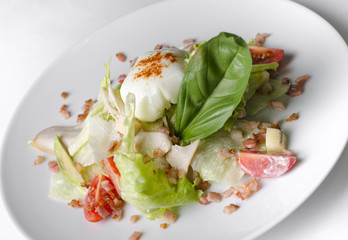 Mix salad with egg poached and chicken on a white plate