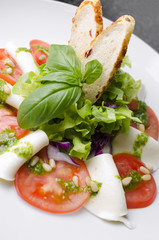 Salad with tomatoes basil and mozzarella with croutons on a white plate