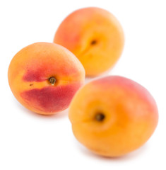Fresh Apricots (isolated on white)
