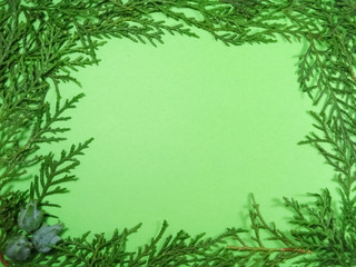 Fototapeta na wymiar Green frame isolated