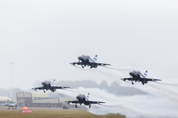 Fototapeta na wymiar Midnight Hawks taking off in formation