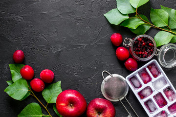 Cranberry, pulm and cherry for summer fruit drink black stone table top view copyspace