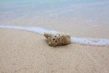 Abstract background of coral on sandy beach with soft waves and beach waves.